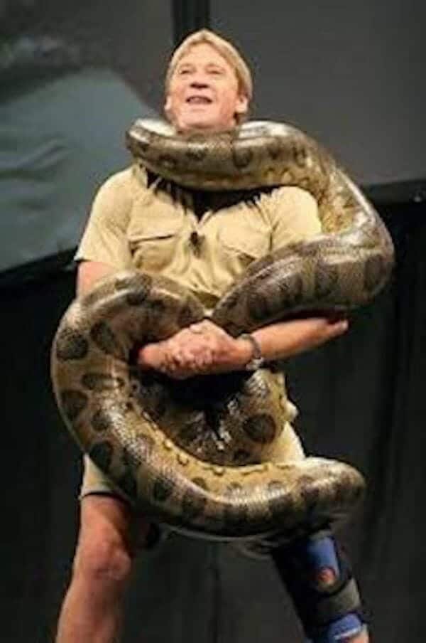 A single person handling anaconda
